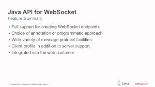 Java API for WebSocket 1.0