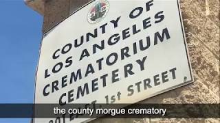 Q&A with Coroner Ed Winter