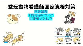 国家試験対策　代謝内分泌系　完全版①