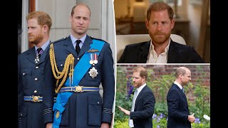 Royal Fallout Prince Harry S Bombshell Interview William S Shocking Silence
