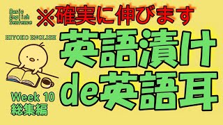 [英語耳養成講座] 毎日の基礎英語リスニング BES- Basic English Sentence- 週末No.10 [TOEIC・英検対策]