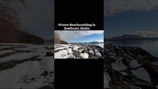 Winter beach combing #beachcombing #beach #snow #ketchikan #alaska #gooutside #alaskalife ￼