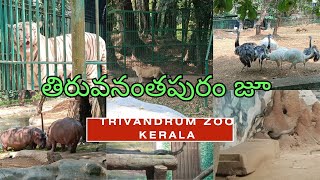 కేరళ తిరువనంతపురం జూ, Kerala tiruvanantapuram ZOO