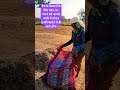 kisan kalpeshbamaniya trending viralvideo kisan mehnat farmers minivlog