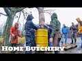 Whole Hog Butchery Workshop w/Hand Hewn Farm (Part 1)