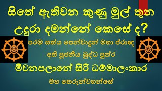 සිතේ ඇතිවන කුණු මුල් තුන උදුරා දමන්නේ කෙසේද? අති පූජනීය මීවනපලානේ සිරි ධම්මාලංකාරමහ තෙරුන්වහන්සේ SL