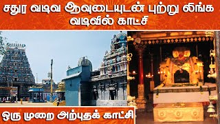 புற்று லிங்க வடிவில் அற்புதக் காட்சி தரும் ஆதிபுரீஸ்வரர் Adipureeswarar Temple | Adipureeswarar