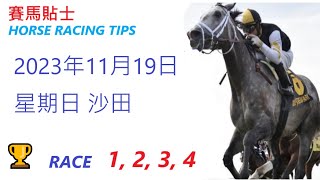 🏆「賽馬貼士」🐴  2023 年11月 19 日, 星期日, 沙田🐴    香港賽馬貼士  HONG KONG HORSE RACING TIPS  🐴 RACE   1  2  3  4
