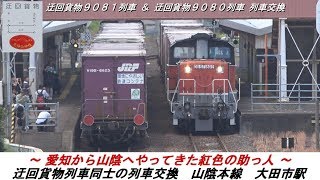 ～愛知から山陰へやってきた紅色の助っ人～　迂回貨物列車同士の列車交換　＜山陰本線　大田市駅＞