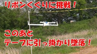 うどん県ラジコン飛行場 2023-5-5 カナード機、ラプター、シーラスSR 22、グライダー、