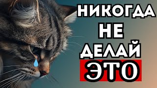 20 ежедневных вещей, которые ранят Вашего котика