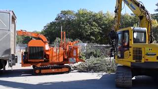 Hawkes Tree Service removing trees by feeding track chipper with excavator.