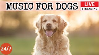 [LIVE] Dog Music🎵Relaxing Music to Relieve Dog Stress🐶Dog Sleep Music💖Dog Calming Music Video🎵2-2