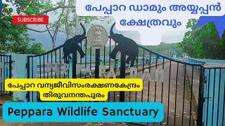 കാടിനകത്തൊരു ഡാം.. 👌Peppara Dam| പേപ്പാറ ഡാം| Wild Life Sanctuary | ANUJA ANJU