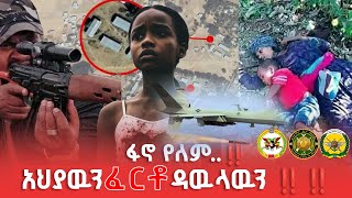 ፋኖ የለም…. አህያውን ፈርቶ ዳውላውን!!!