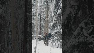 Climbing a Tree in the Mountains of British Columbia #saddlehunting #whitetail #canada #outdoors