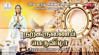 🔴 LIVE - நற்கருணைப் பெருவிழா | Our Lady of Lourdes Church, Madipakkam #lourdeslive #lourdesmass