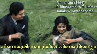 Pinneyum Inakkuyil Pinangiyallo | പിന്നെയുമിണക്കുയിൽ പിണങ്ങിയല്ലോ | Janaki, P Jayachandran