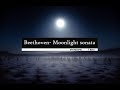 Yun Chan Lim -Beethoven  Piano Sonata 'Moonlight' (1 hour)