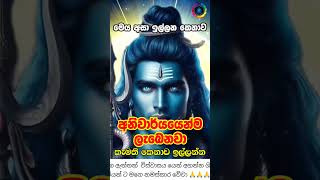 ශිව දෙවියන්ගේ පිහිටයි ඔබට 🙏🌷❤️  shiva mantra #shiv #shivamantra #mantra #trending #srilanka