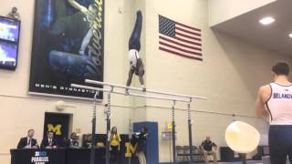 Anthony McCallum Parallel Bars - UIC 2016