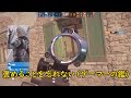 【r6s】新アビリティのディスミスが強すぎる 壁をすり抜ける技 最速攻略で相手が全滅【レインボーシックスシージ】