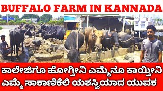 ಎಮ್ಮೆ ಸಾಕಾಣಿಕೆಯಲ್ಲಿ ಯಶಸ್ವಿಯಾದ ಕಲಬುರ್ಗಿ ಯುವಕ | Buffalo Farming In Kannada | Pandharpuri Buffalo