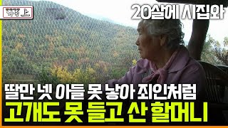 [멜로다큐 '가족' 354회 上] 20살에 시집와 딸만 내리 넷 낳고 아들 못 낳아 죄인처럼 고개도 못 들고 산 90살 할머니