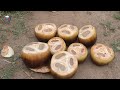 farm fresh palmyra palm nungu toddy fruits taadi munjulu summer special jelly in village food