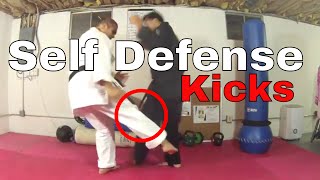 4 Best Kicks for Self Defense - Low Kick Defence