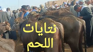 أجمل اسعار للنتايه اللحم البقري والجاموسي بسوق اسنا