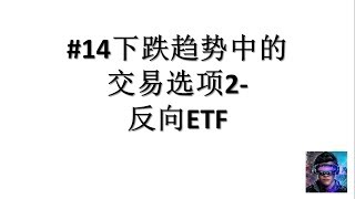 #14 下跌趋势中的选项2  - 反向ETF