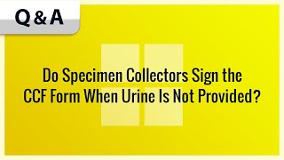Do Specimen Collectors Sign the CCF Form When Urine Is Not Provided?