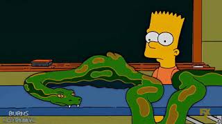 [Digestion] Snake eats rabbit (TS S18E20)