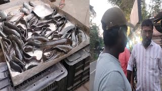 റോഡിലെ കച്ചവടം പൊളപ്പൻ കച്ചവടം #youtube #fishing #video #malayalam