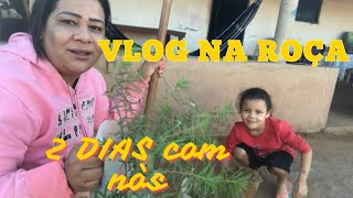 2 DIAS \\ EU e a NOEMY mudamos as plantinhas\\ Fiz  ALMOÇO no FOGAO de LENHA\\ DIA A DIA NA ROÇA!🙏