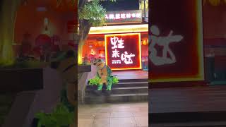 Crazy is Loaded after Eating at WALAIDA - Crazy Green Frog #crazy #green #frog #viral #shorts