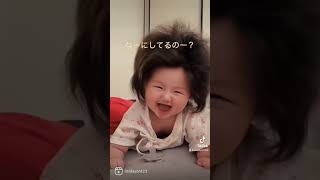 爆毛ちゃんーなにしてるの？ー生後5ヶ月👶