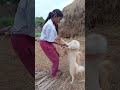 😱🐲🙏but நீங்க விளையாட வேண்டாம் பாஸ்🤷‍♂️ dog viralshorts