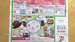 イトーヨーカドー武蔵小金井店　専門店街　イベントかわら版　３月号　(小金井市　眼鏡)