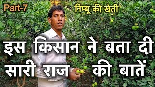 काग़ज़ी निम्बू की खेती |नींबू की खेती कैसे करे की ज़्यादा उत्पादन हो  |Lemon Farming in india|