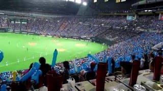 【2014年秋】日本ハム・稲葉の引退試合2の5　稲葉の全打席