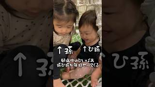 【病気のひいばあ】孫ひ孫が毎日やってくる…#おばあちゃん #孫 #高齢者