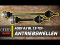 Audi A3 8L 1.9 TDI ASZ | Die Antriebswelle links und rechts wird erneuert! 👨‍🔧 [ Skoda VW Seat ]