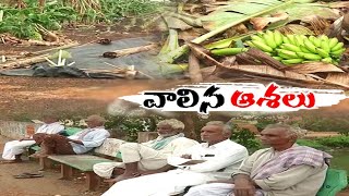 Massive Damage to Crops | Brought Tears in Farmers | అసని తుపానుతో రైతు కంట కన్నీరు