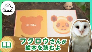 絵本読み聞かせ│フクロウさんが絵本を読むよ！11│赤ちゃんが泣き止む・喜ぶ！シナぷしゅ公式│東大赤ちゃんラボ監修！知育動画