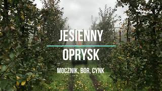 Jesienny oprysk w sadzie - 2017r. [sadownictwo]