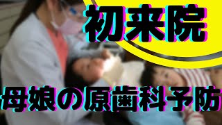 初来院でクリーニング　１歳女の子の余裕｜原歯科医院【調布市・八雲台・布田駅】