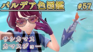 【パルデア色図鑑】全ポケモンを色違いにする旅 / サシカマス・カマスジョー編【ポケモンSV】