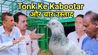 Bajre Kabootar Aur Tonk Ke Ustad | Bhure Bajre Kabootar | Silver Kabootar | Jaipur Tonk Pigeons